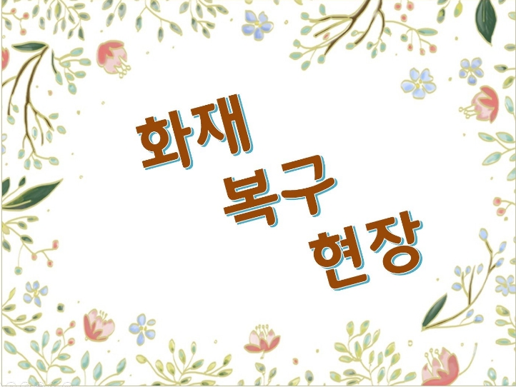11월 해즈 소식